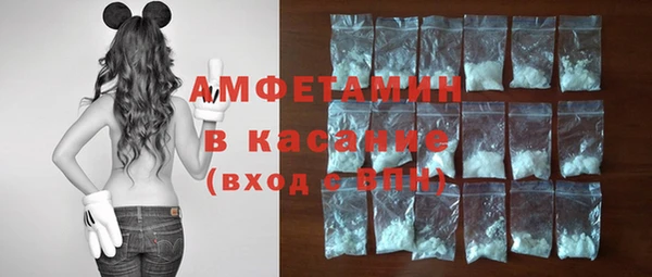 дмт Рославль