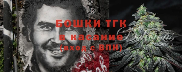 дмт Рославль
