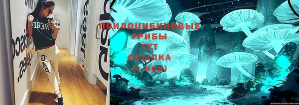 дмт Рославль