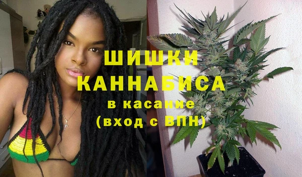 дмт Рославль