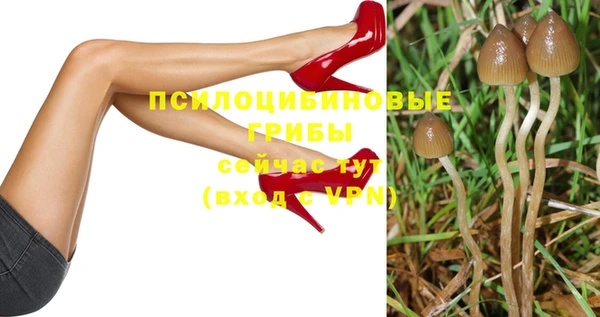 дмт Рославль